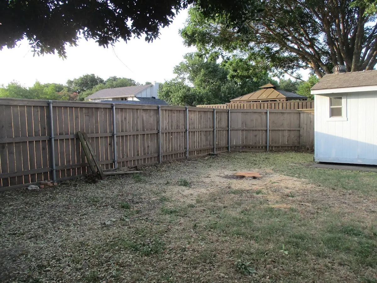 Cleared yard after professional tree removal in Greenhurst